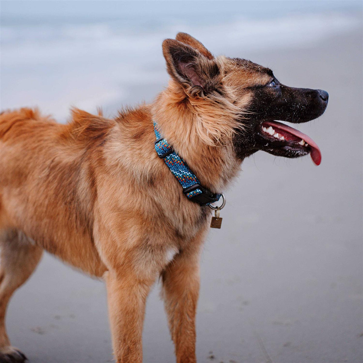 Rope Collar L86252