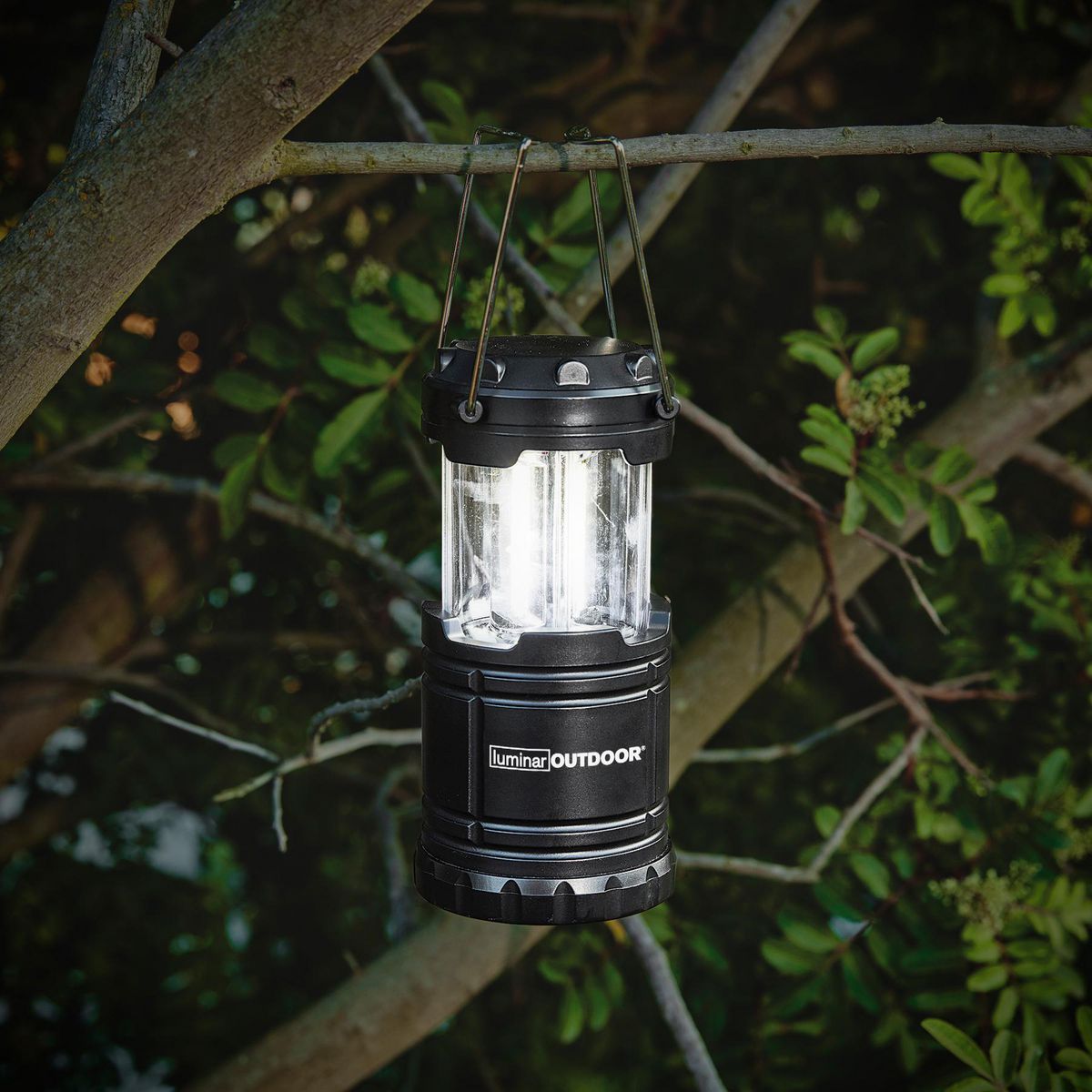 250 Lumen Pop-Up Lantern I626570