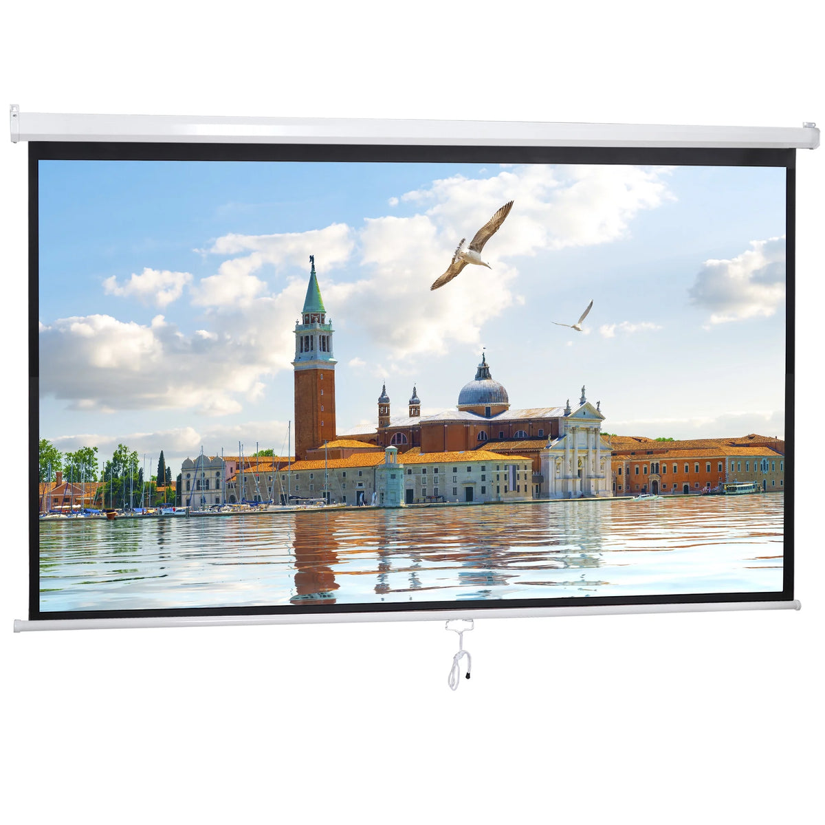 100 Diagonal 16:9 Projector Screen J856436
