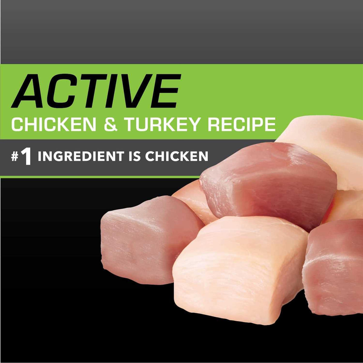 Chicken Turkey Dry Dog Food O7328