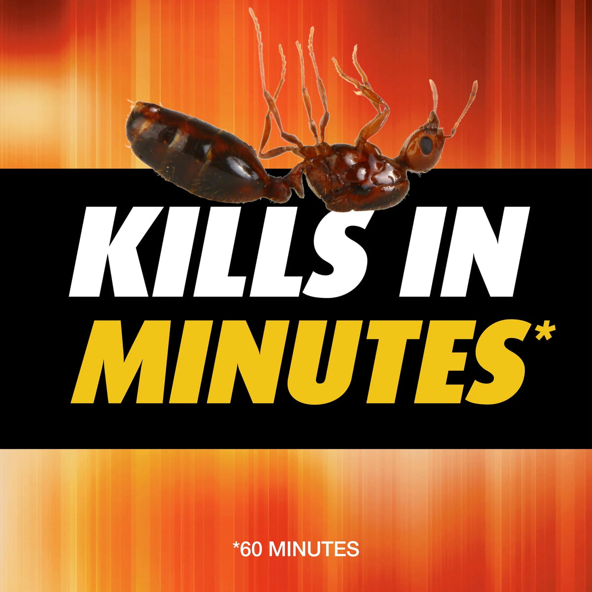Fire Ant Killer 12 oz J611015